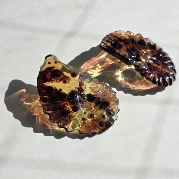 Aros Fibonacci (grandes)