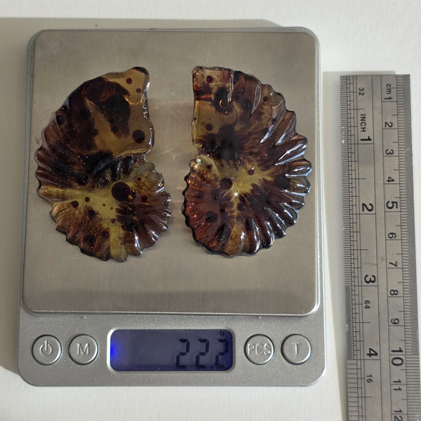 Aros Fibonacci (grandes)