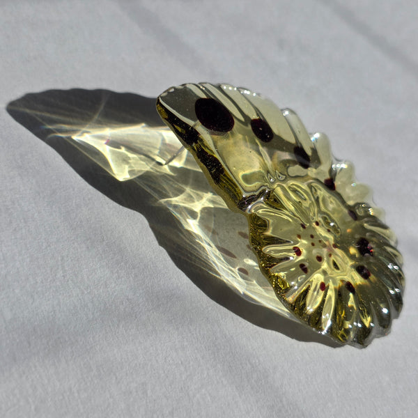 Aros Fibonacci (grandes)