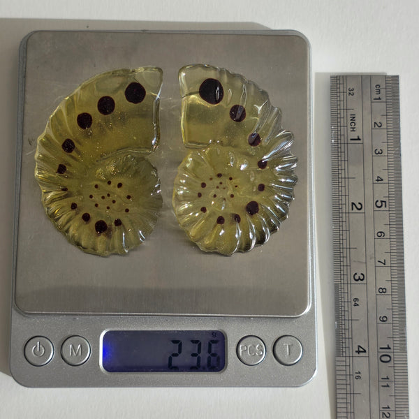 Aros Fibonacci (grandes)