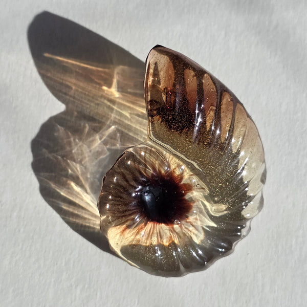 Aros Fibonacci (Tamaño mediano)