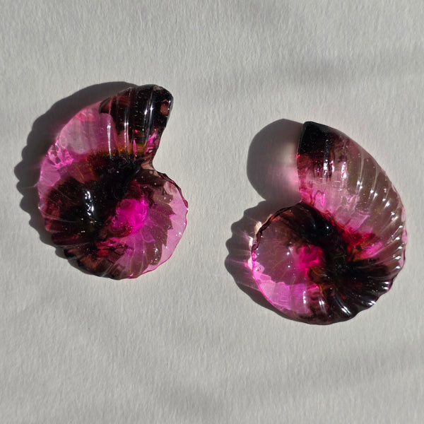 Aros Fibonacci (Tamaño mediano)