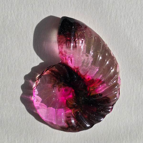 Aros Fibonacci (Tamaño mediano)