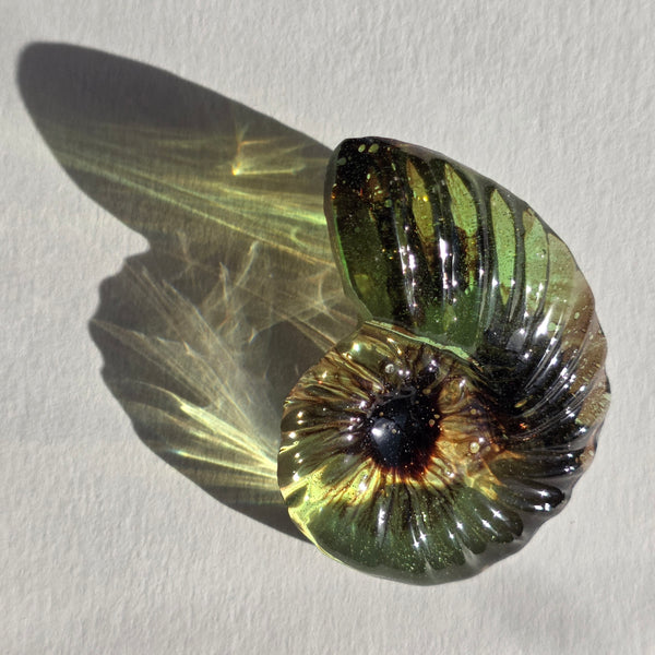 Aros Fibonacci
