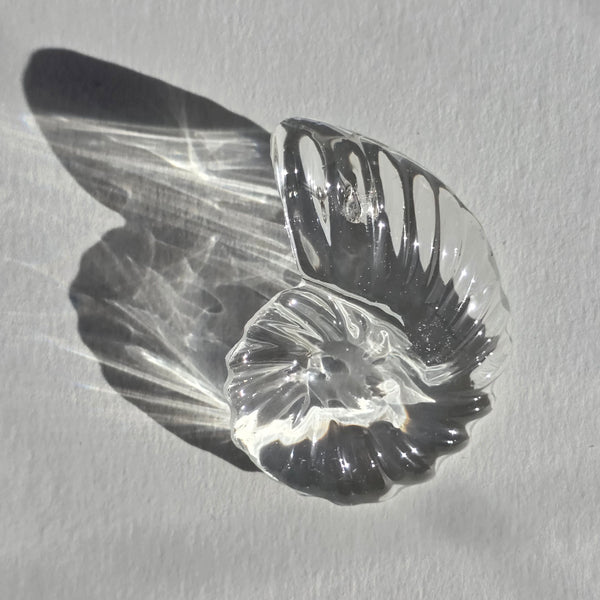 Aros Fibonacci (Tamaño mediano)