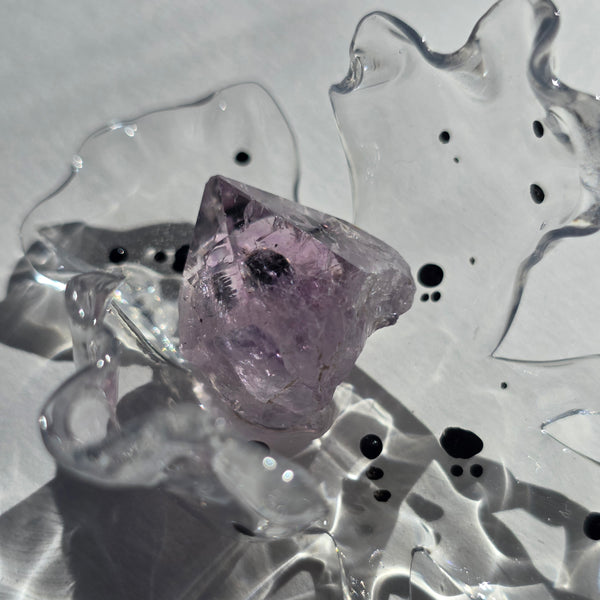 Aros Flores monstruosas