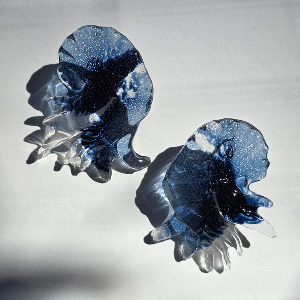 Aros Nautilus