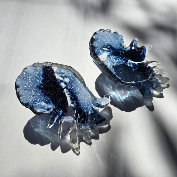 Aros Nautilus