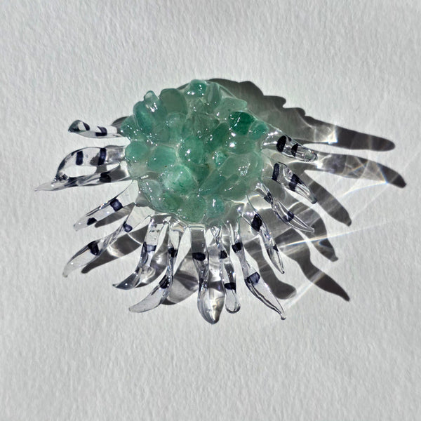 Aros Sol de invierno