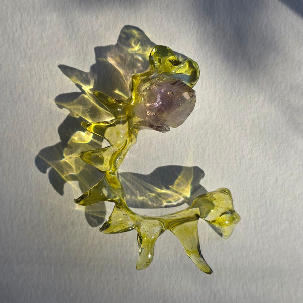 Aros Olas