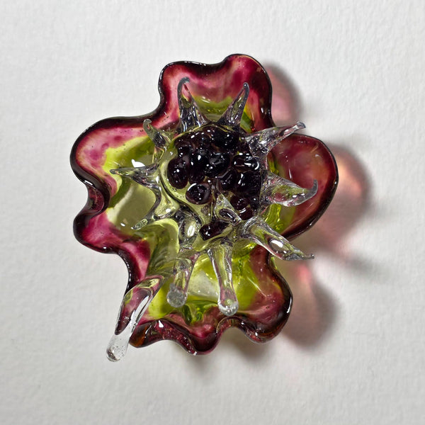 Aros Florecimiento (medianos)