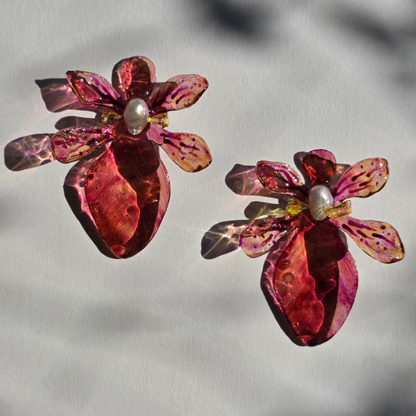 Aros Flores Carnivoras