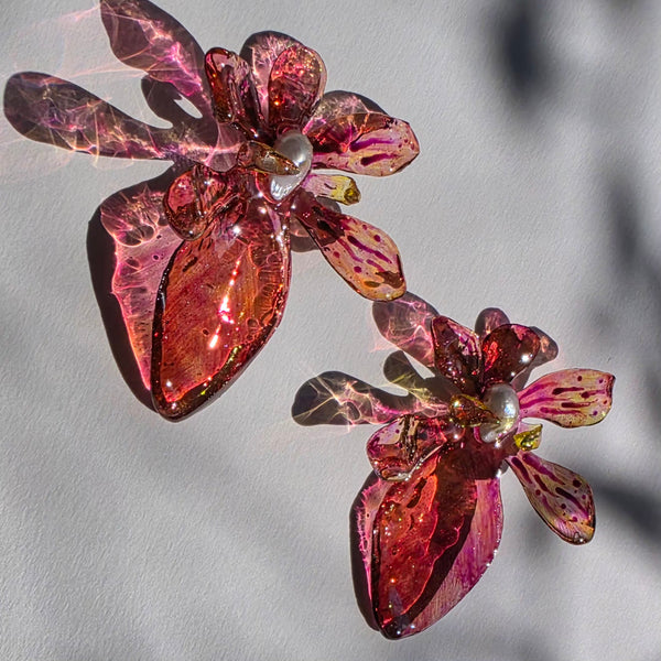 Aros Flores Carnivoras