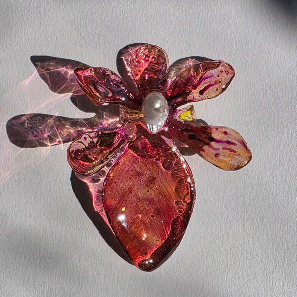 Aros Flores Carnivoras