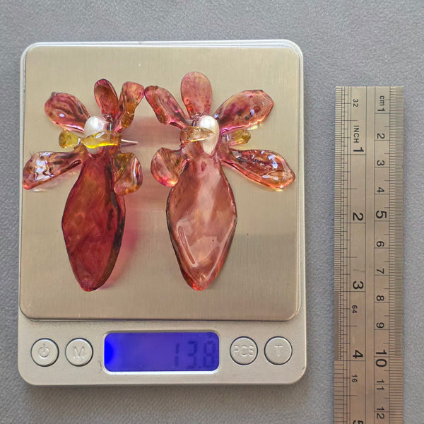 Aros Flores Carnivoras
