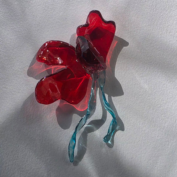 Aros Flores deconstruidas