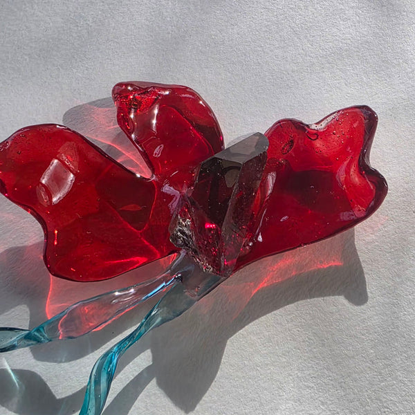 Aros Flores deconstruidas
