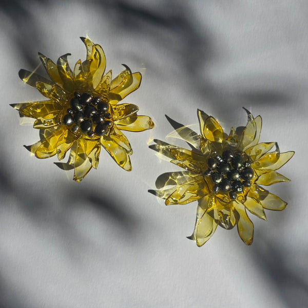 Aros Florescencia