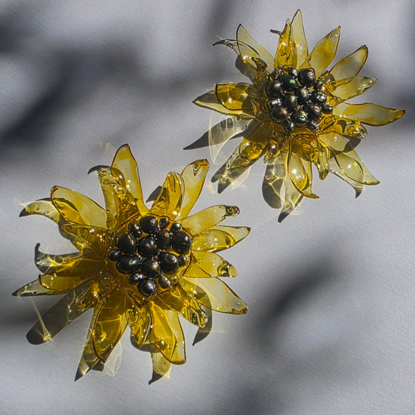 Aros Florescencia