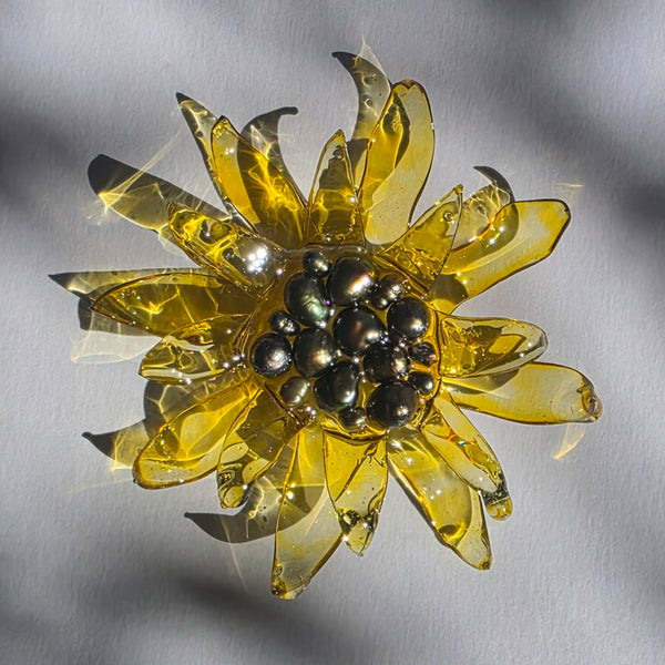 Aros Florescencia