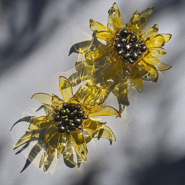 Aros Florescencia