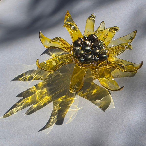 Aros Florescencia