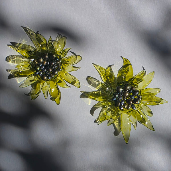 Aros Florescencia