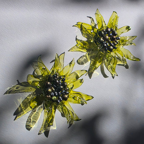 Aros Florescencia
