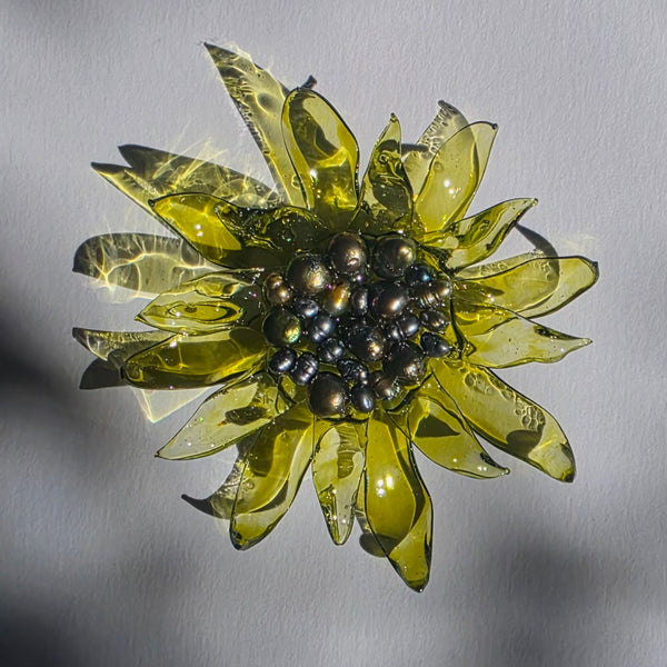 Aros Florescencia
