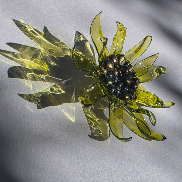 Aros Florescencia