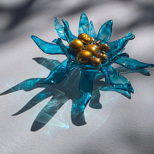 Aros Florescencia