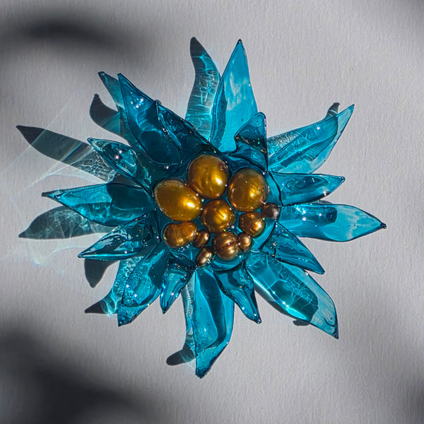 Aros Florescencia