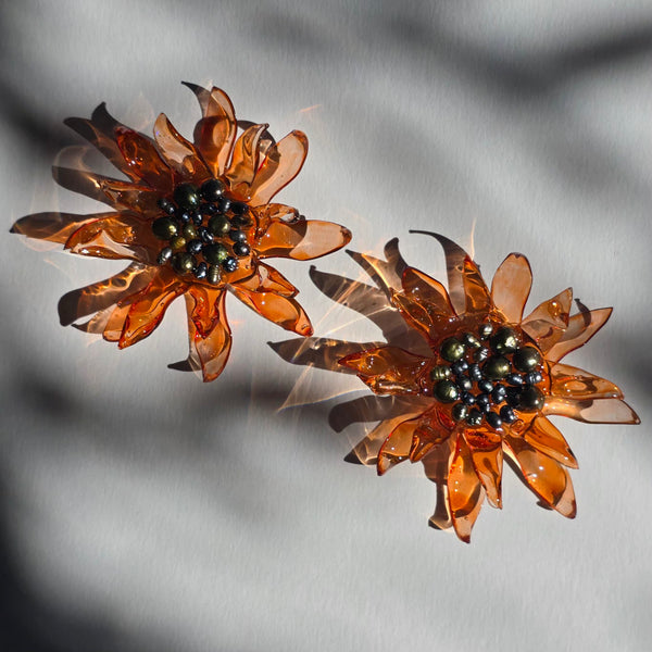 Aros Florescencia