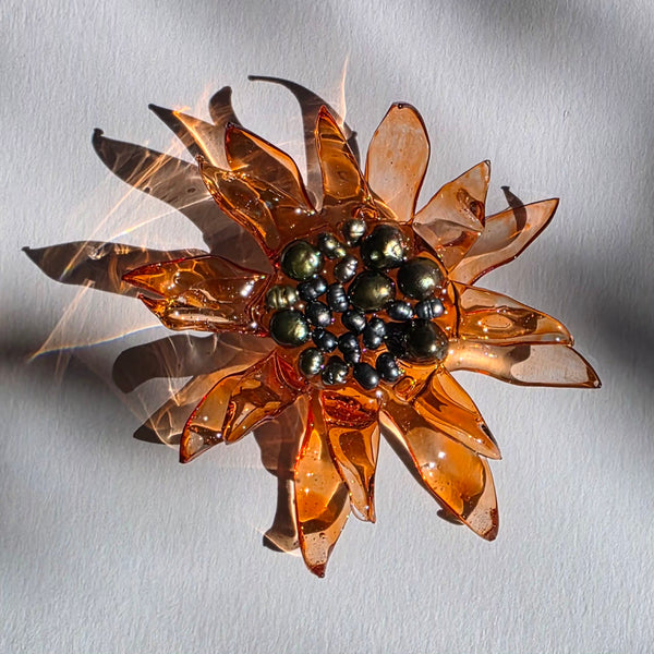 Aros Florescencia