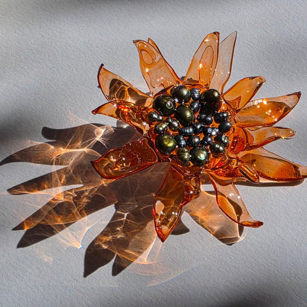 Aros Florescencia