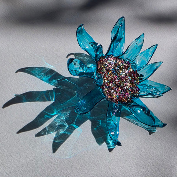 Aros Florescencia