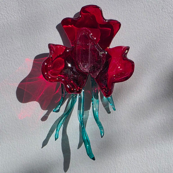 Aros Variación de flor monstruosa