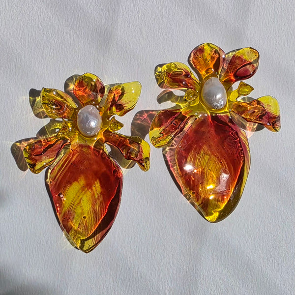 Aros Flores carnivoras