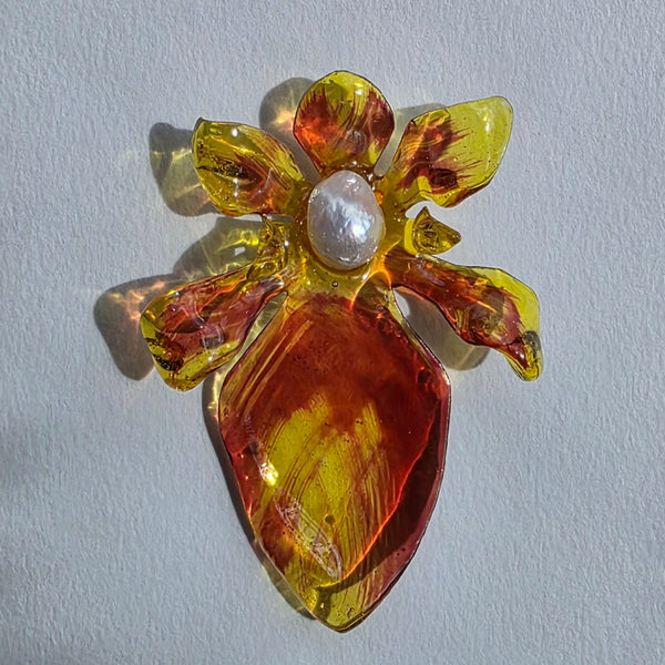 Aros Flores carnivoras