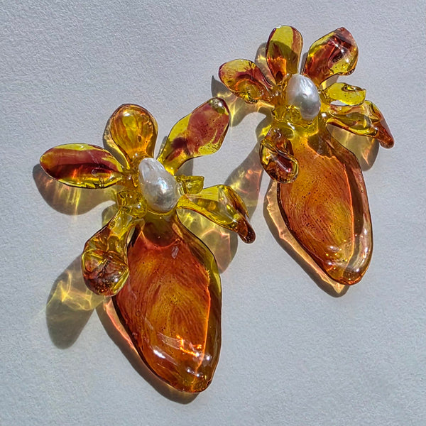 Aros Flores carnivoras