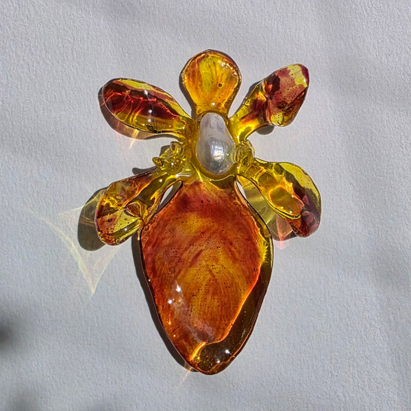 Aros Flores carnivoras