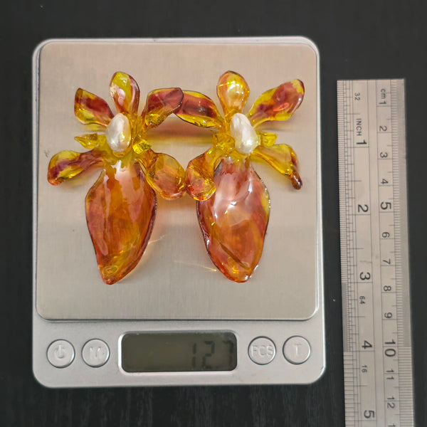 Aros Flores carnivoras