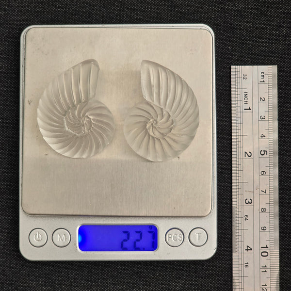 Aros Fibonacci (Tamaño mediano acabado vidrio marino)