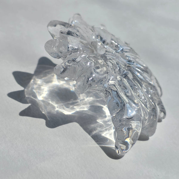 Aros caracol (Tamaño mediano) precio rebajado