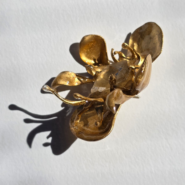 Aros Flores Monstruosas
