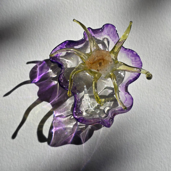 Aros Florecimiento