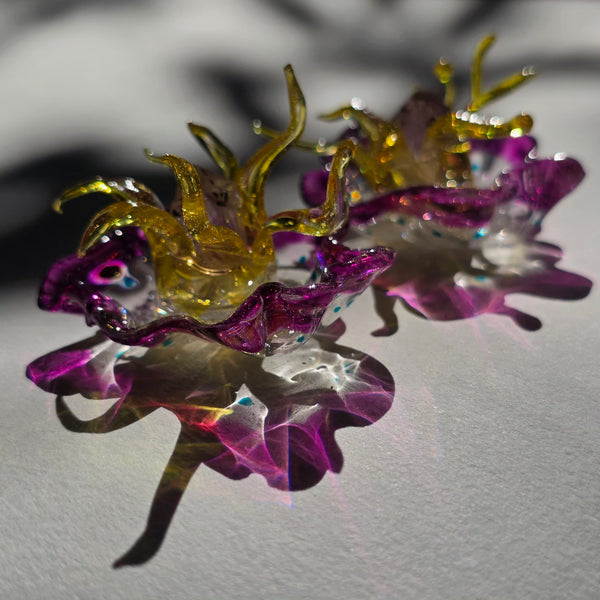 Aros Florecimiento
