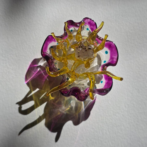 Aros Florecimiento