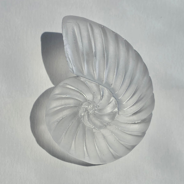 Aros Fibonacci (Tamaño mediano acabado vidrio marino)