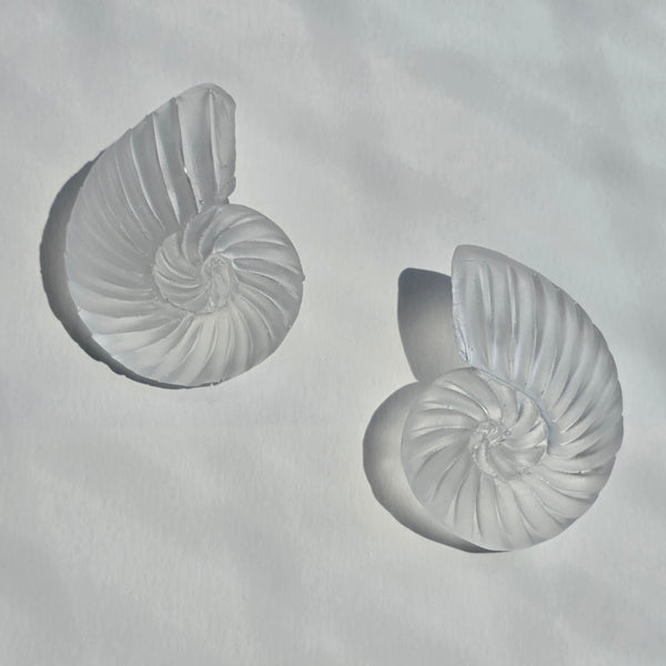 Aros Fibonacci (Tamaño mediano acabado vidrio marino)